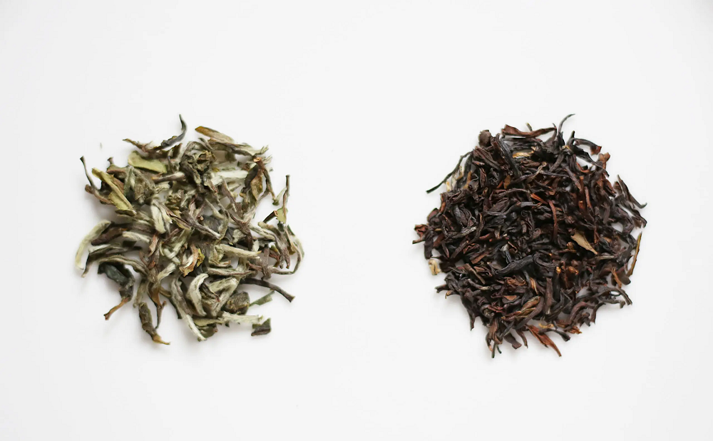 A Guide to First Flush & Second Flush Teas: Darjeeling’s Most Sought-After Teas