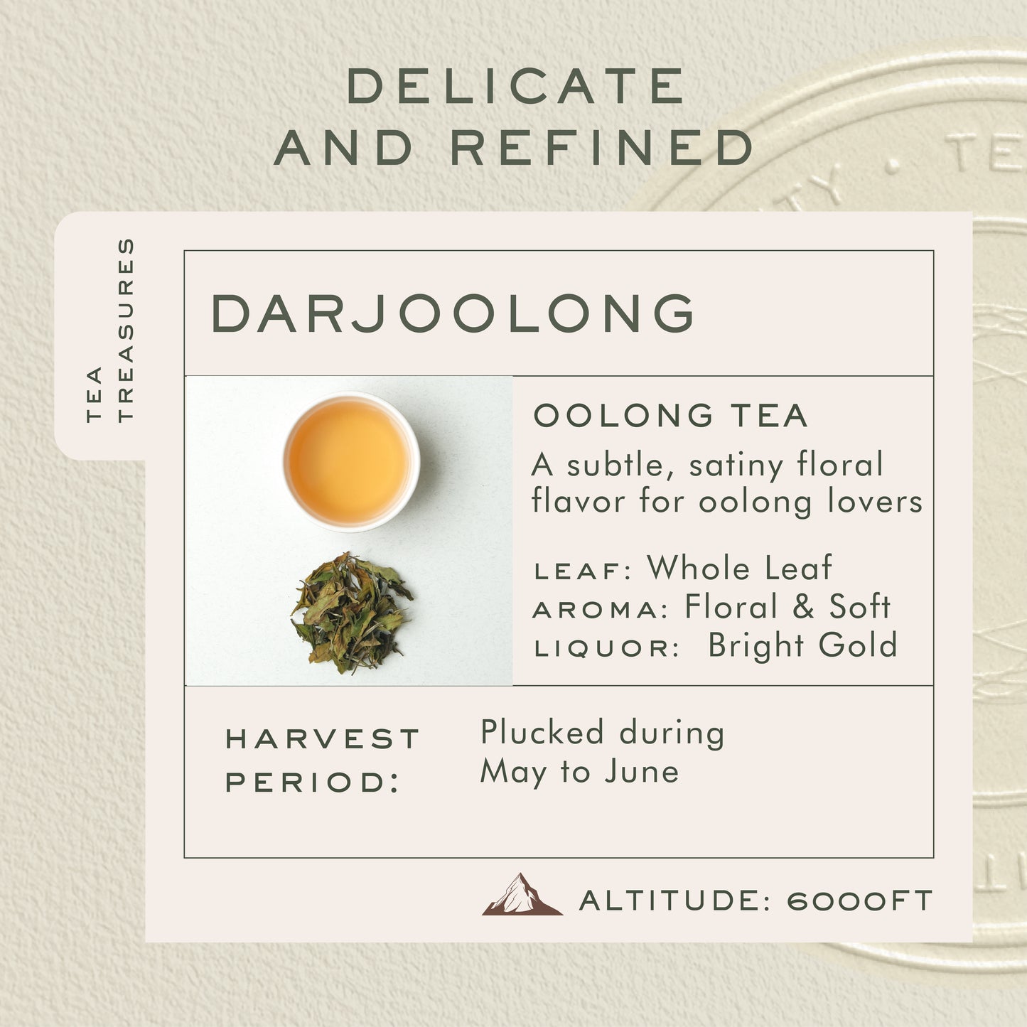 Makaibari Darjoolong Oolong Tea | 100 gm Tin Caddy | Loose Tea Packed