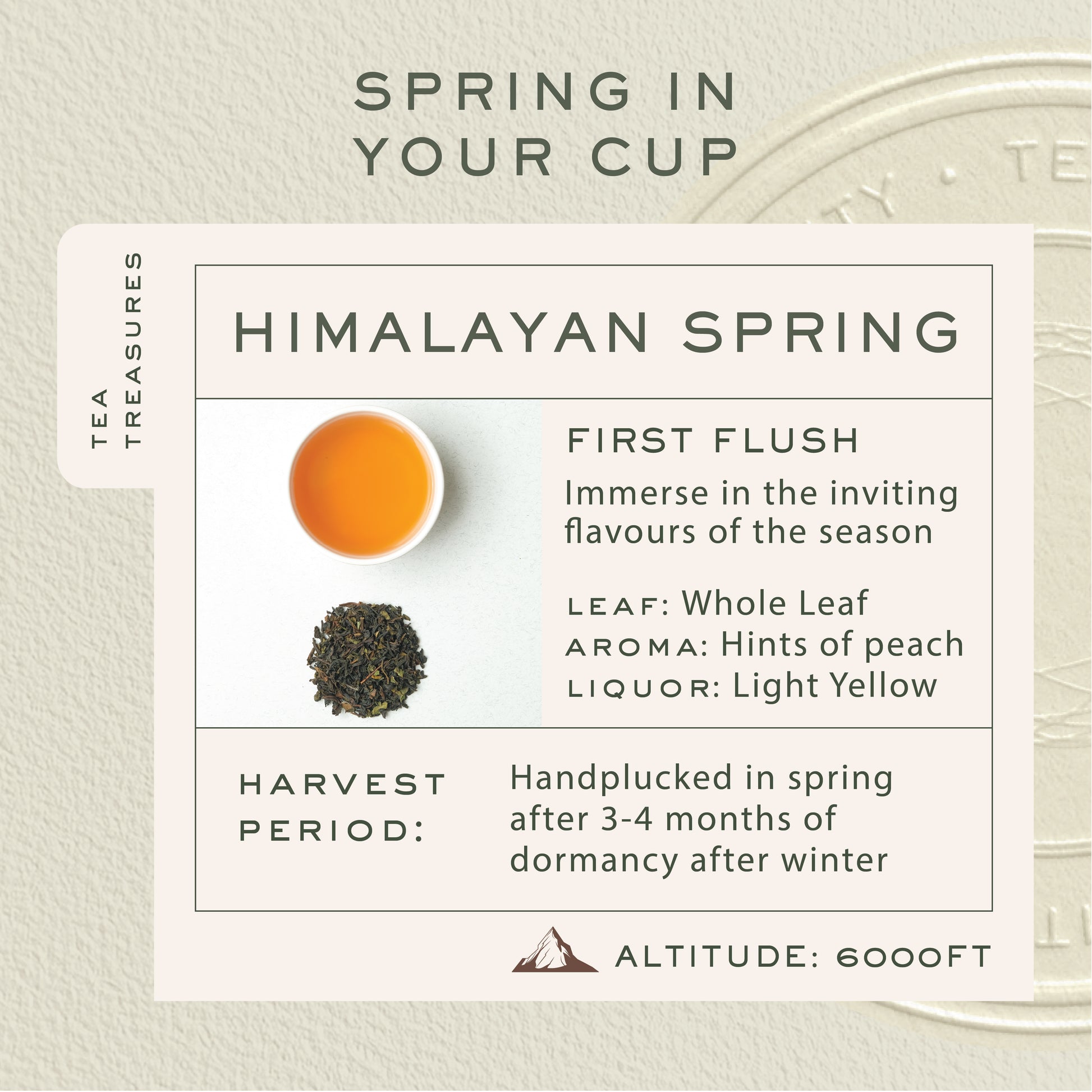 Organic First Flush Black Tea - Himalayan Spring 