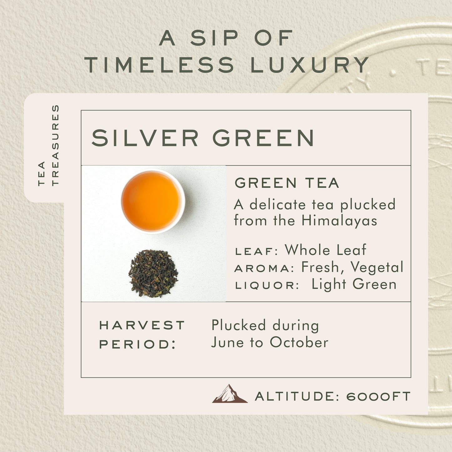 Darjeeling Silver Green 25 Tea Bags | Green Tea