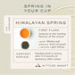 Himalayan Spring | 100gm Loose Tin Caddy | First Flush Tea