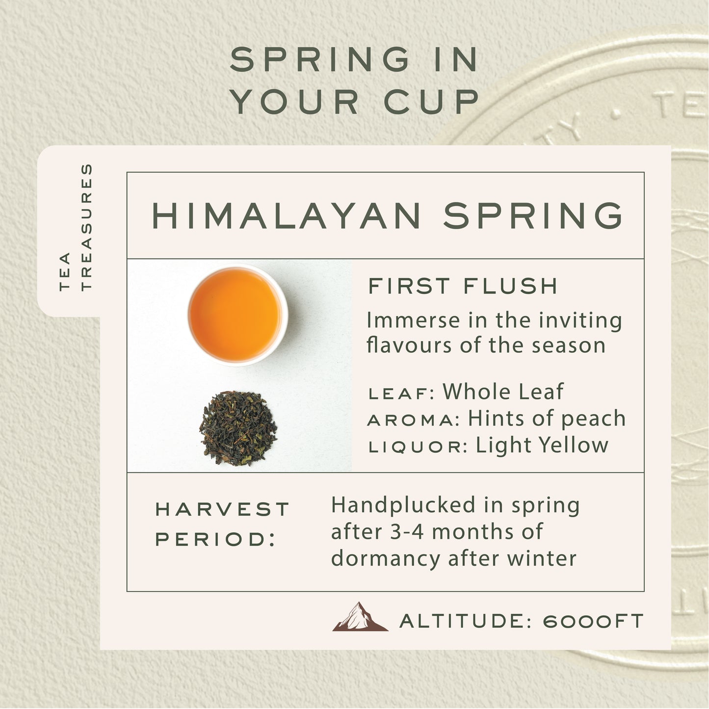Himalayan Spring | 100gm Loose Tin Caddy | First Flush Tea
