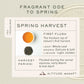 Spring Time Bloom | 100 gm Tin Caddy | Loose Black Tea Pack