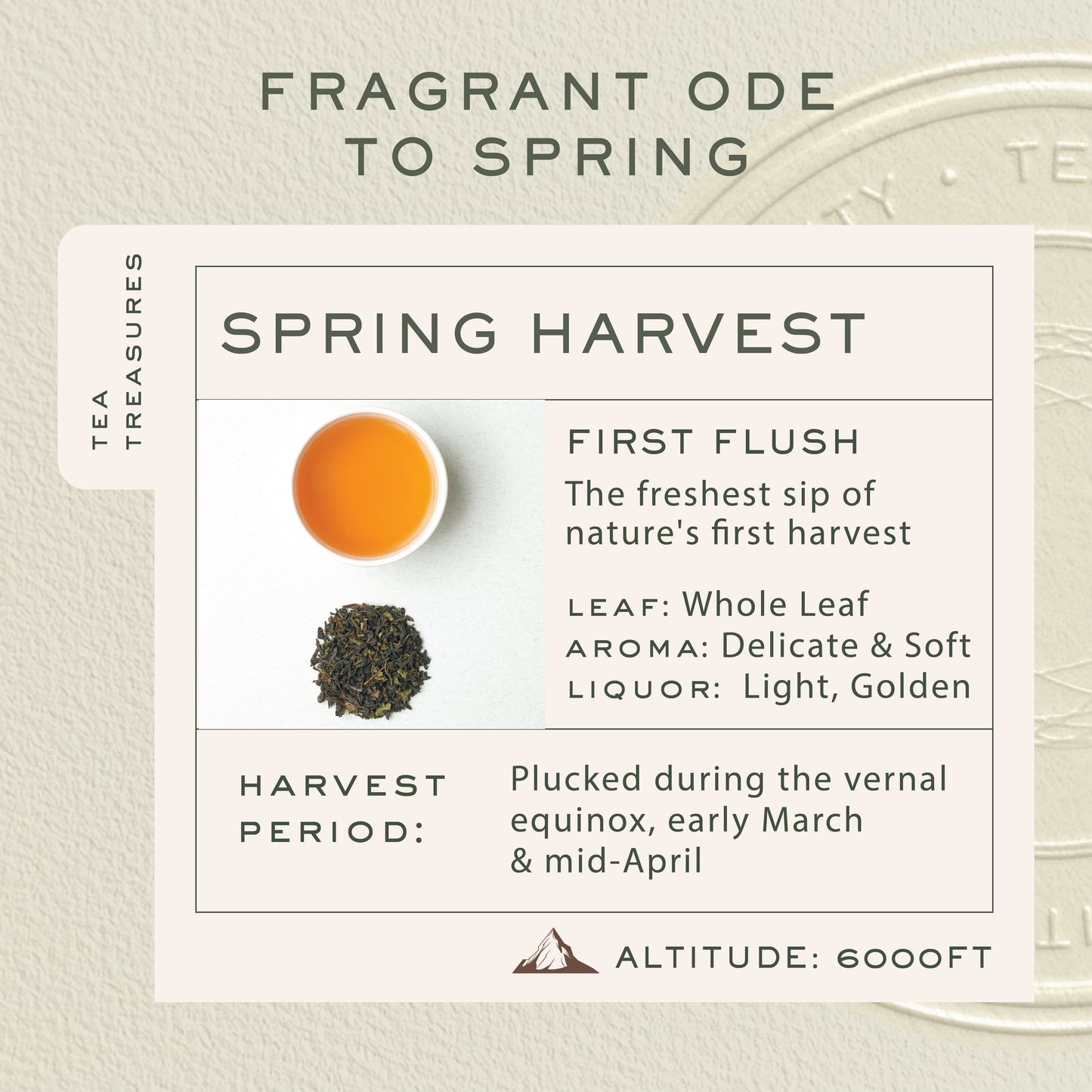 Spring Time Bloom | 100 gm Tin Caddy | Loose Black Tea Pack