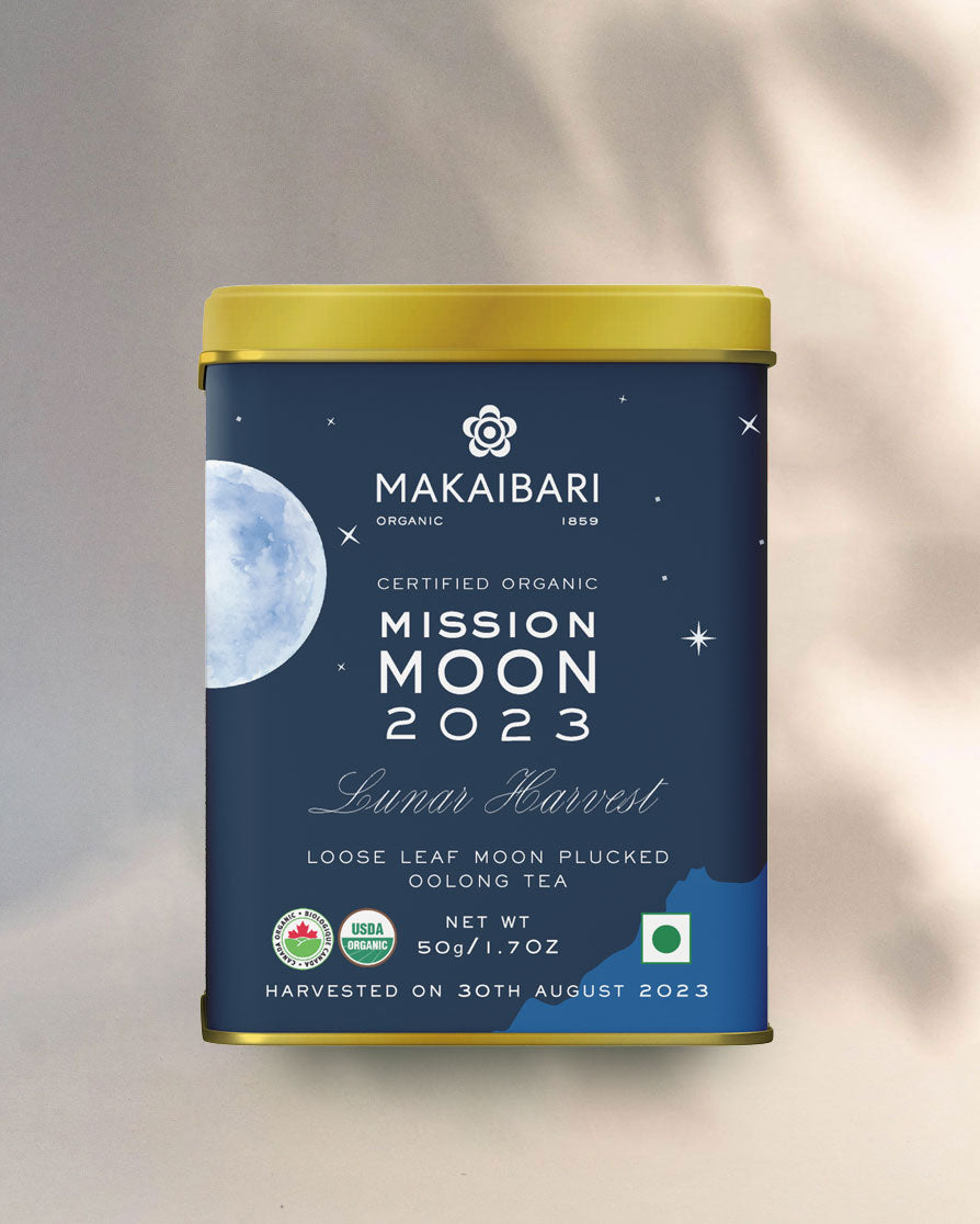Mission Moon 2023 : Moonlight Plucked Oolong Tea
